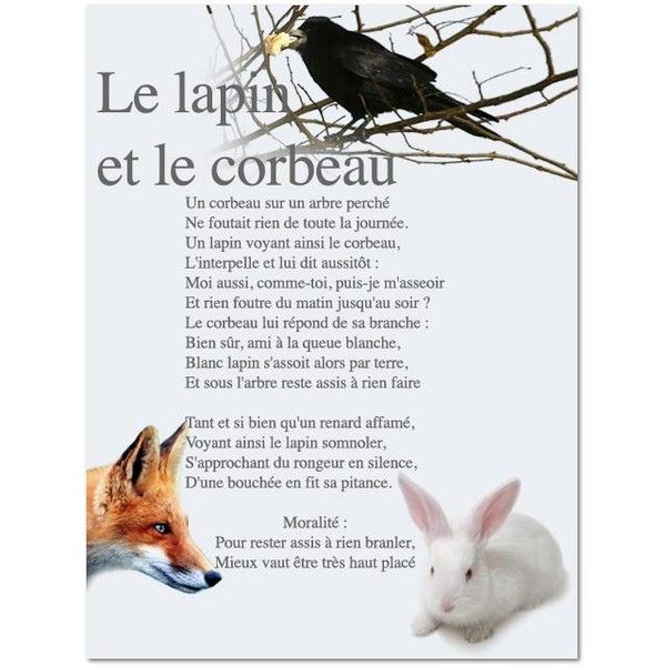 Le lapin  et le corbeau ...
