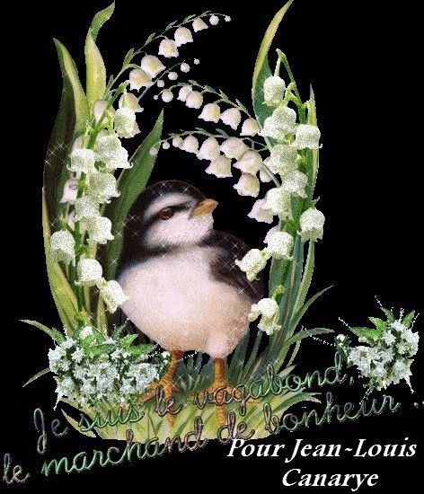 Bon 1er Mai de mon amie Canarye ... Merci !