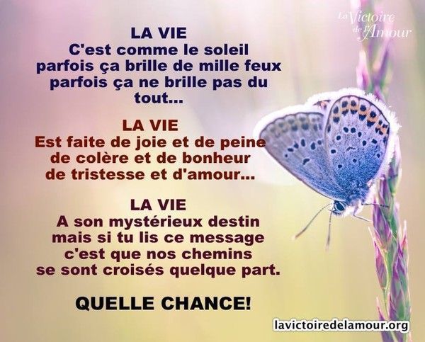Citation Du Matin