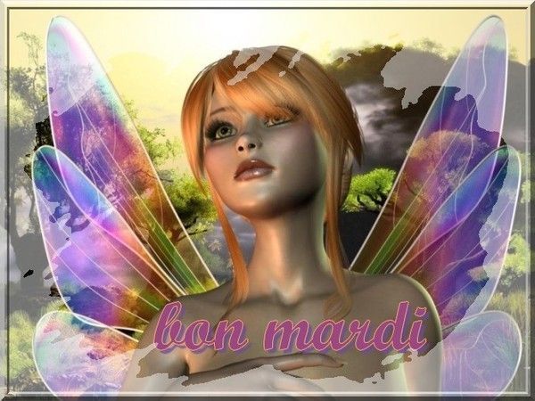 Le spationaute belge...