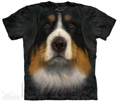 Tee shirt chien ...