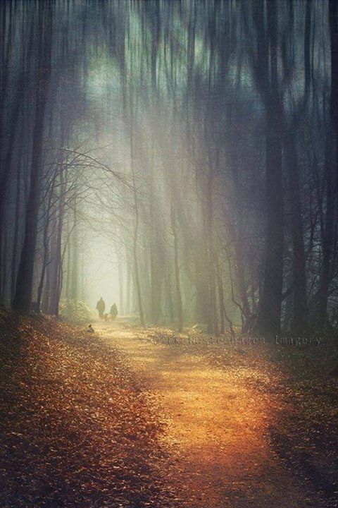 L'histoire des 2 cailloux !