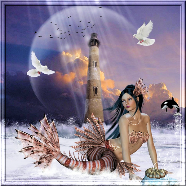 Sirène crevette ...