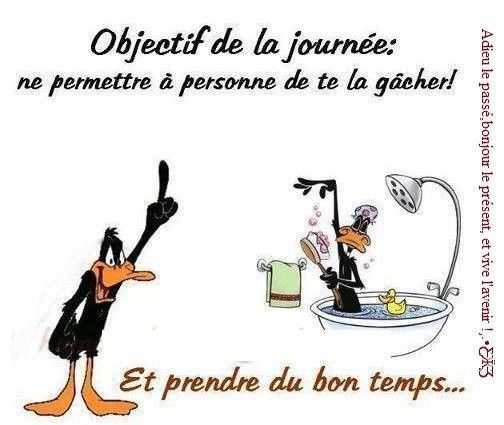 Objectif du jour...