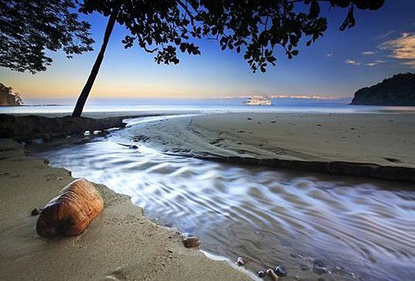 Pensées à maman...