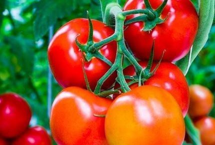 Une nouvelle arme contre les AVC...