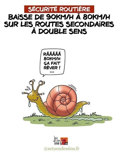 Résultat de recherche d'images pour "bonne soirée 80 km h humour"