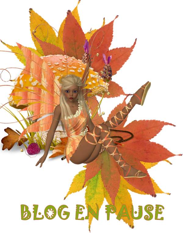 Blog en pause ..
