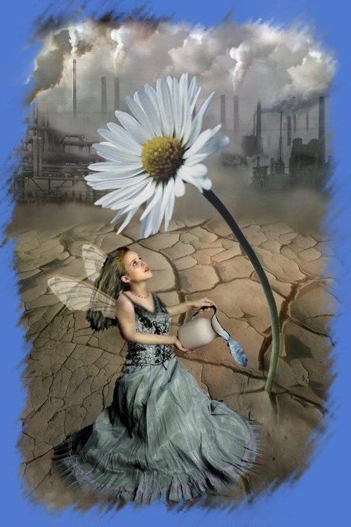 Jolie marguerite ...