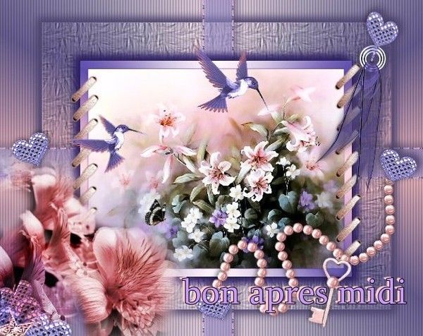 Mon dieu qu'ils sont cons !!!!!!!!!!!