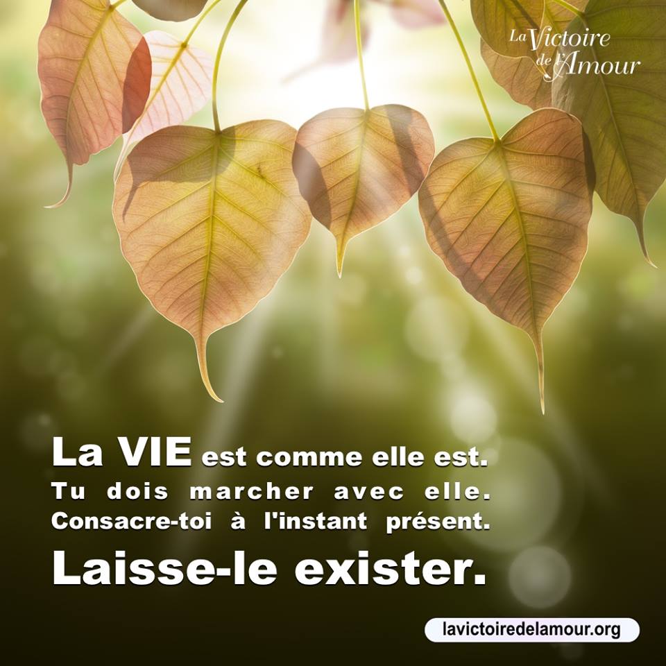 citation-du-matin