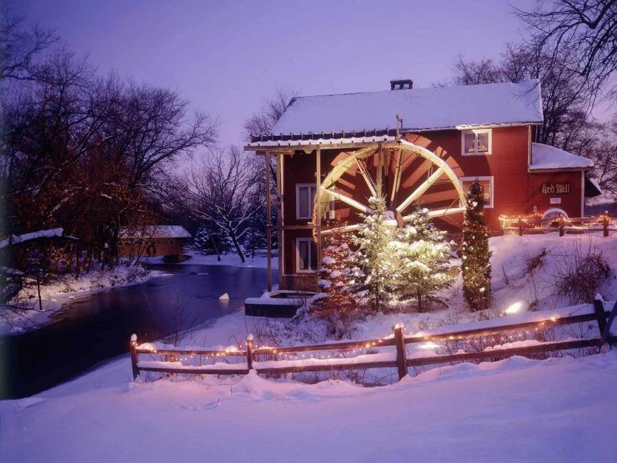 Sous la neige...