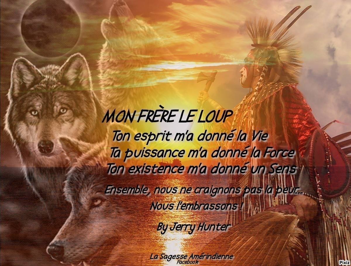 Mon frère le Loup