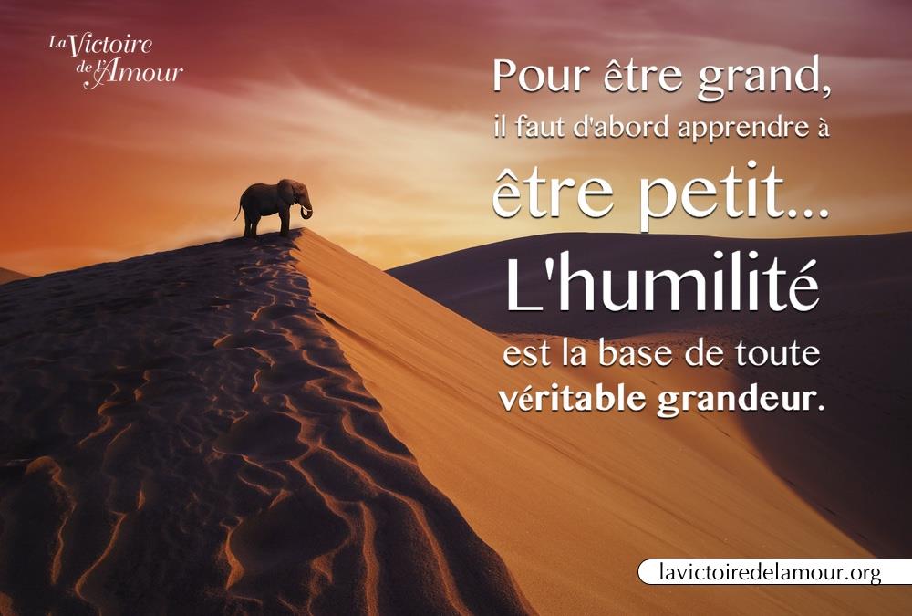 citation-du-matin